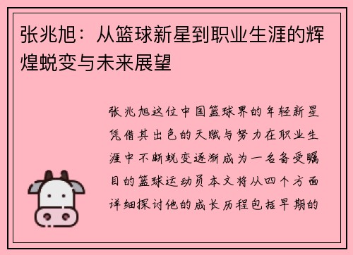 张兆旭：从篮球新星到职业生涯的辉煌蜕变与未来展望